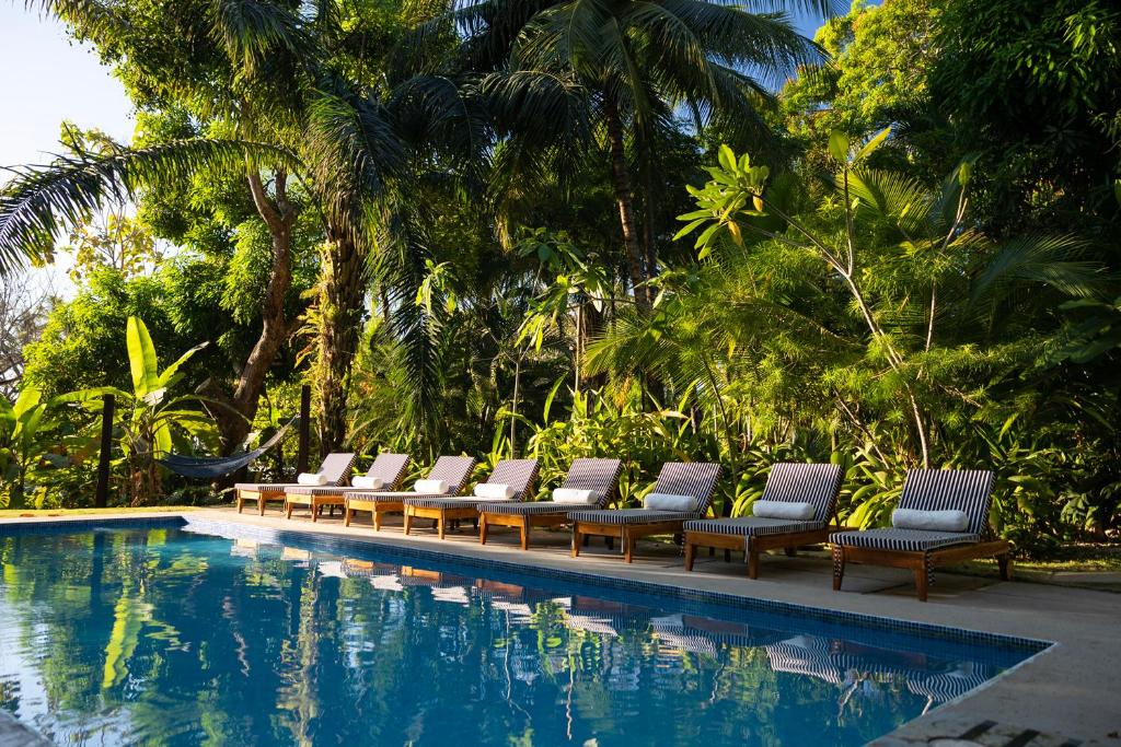 a row of lounge chairs next to a swimming pool at Hotel Nya in Montezuma