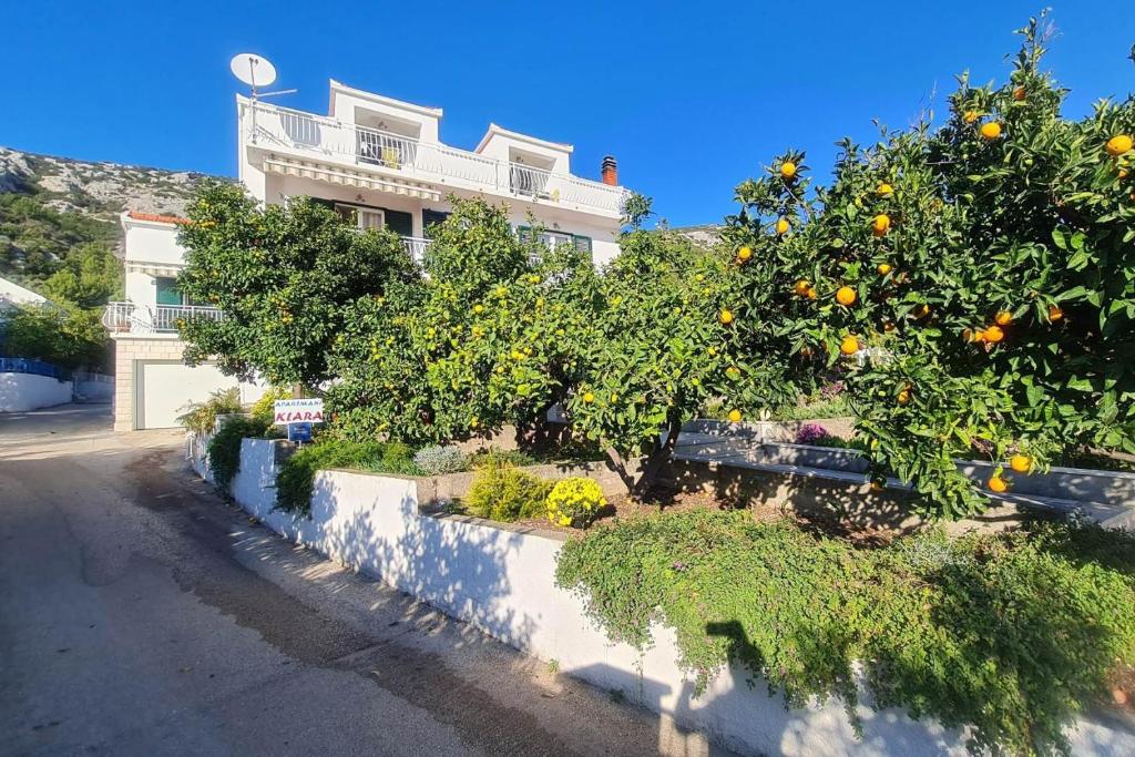 an orange tree in front of a house at Apartments by the sea Viganj, Peljesac - 16259 in Kučište