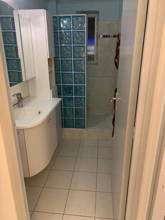 a bathroom with a sink and a shower at Une Vue à Couper son Souffle Appartement 2 pièces in Canet-en-Roussillon