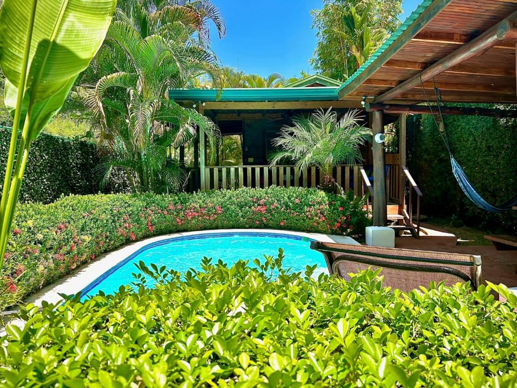 a swimming pool in a garden with bushes at Ocean Melody in Uvita