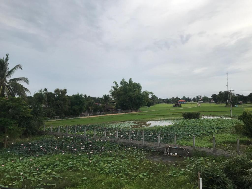 Blick auf einen Golfplatz mit einem Teich in der Unterkunft Nak hotels in Muang Không