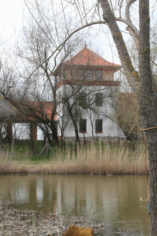 Příroda nedaleko penzionu