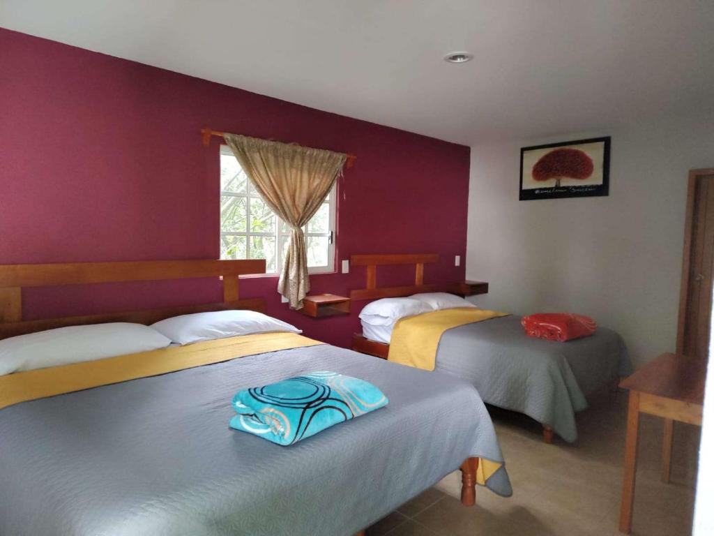 una camera con due letti e una finestra di Hotel posada onix xilitla a Xilitla