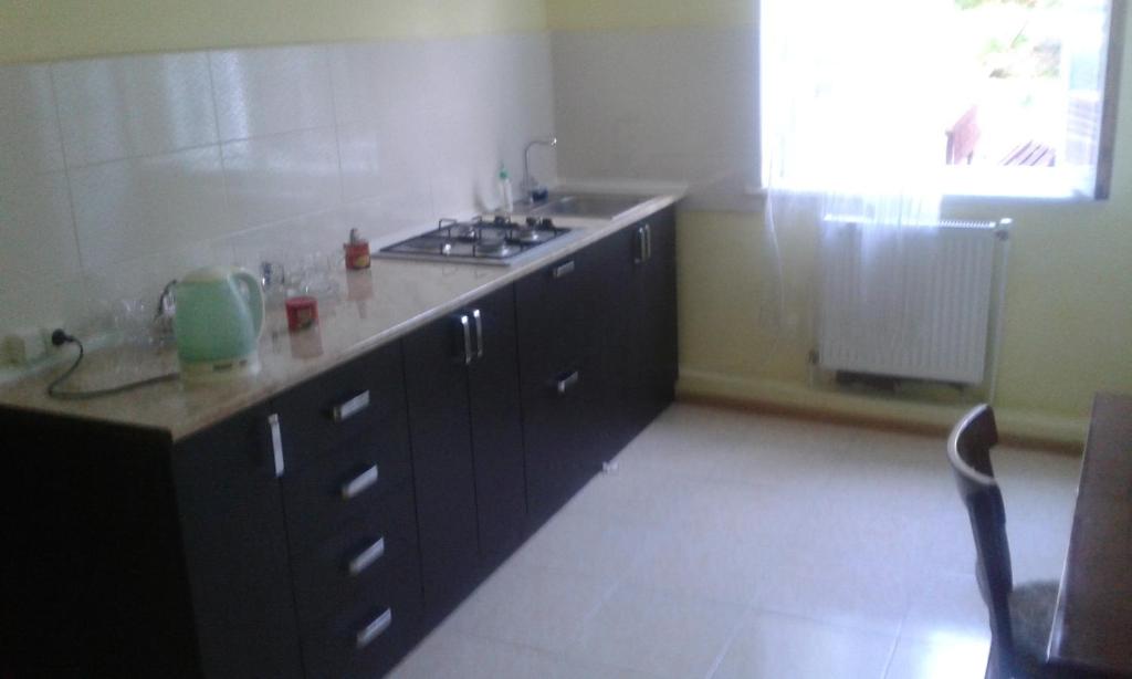 Kuchyň nebo kuchyňský kout v ubytování Lemon Family GuestHouse