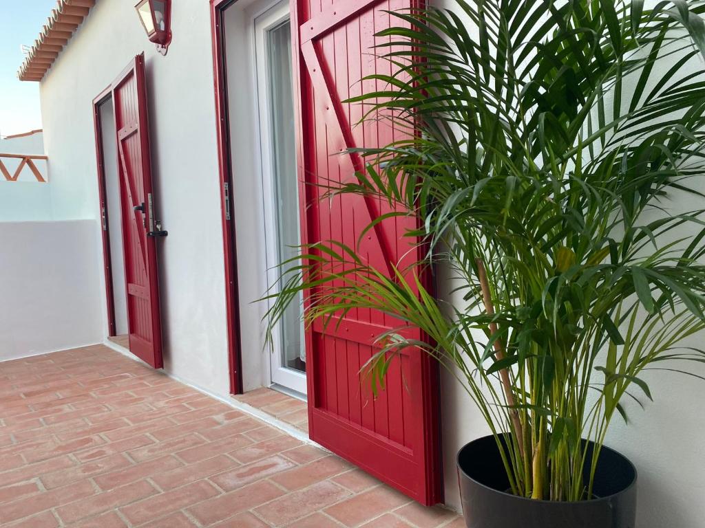 a red door and a potted plant next to a house at Casa Vó Briata in Mértola
