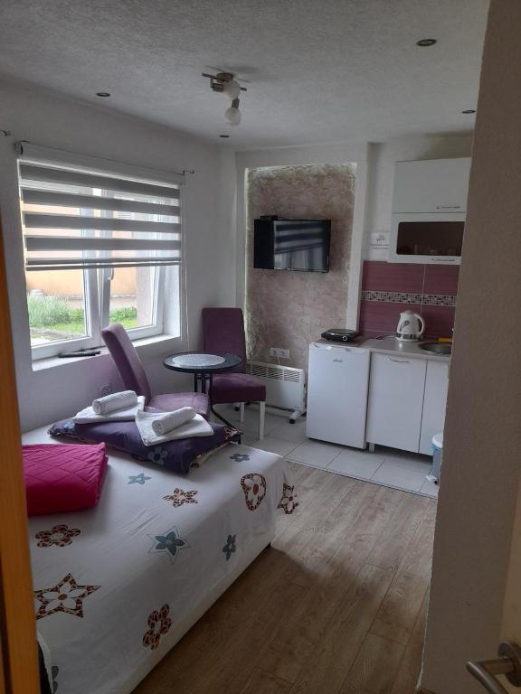 Kuchyň nebo kuchyňský kout v ubytování Golubović Apartments