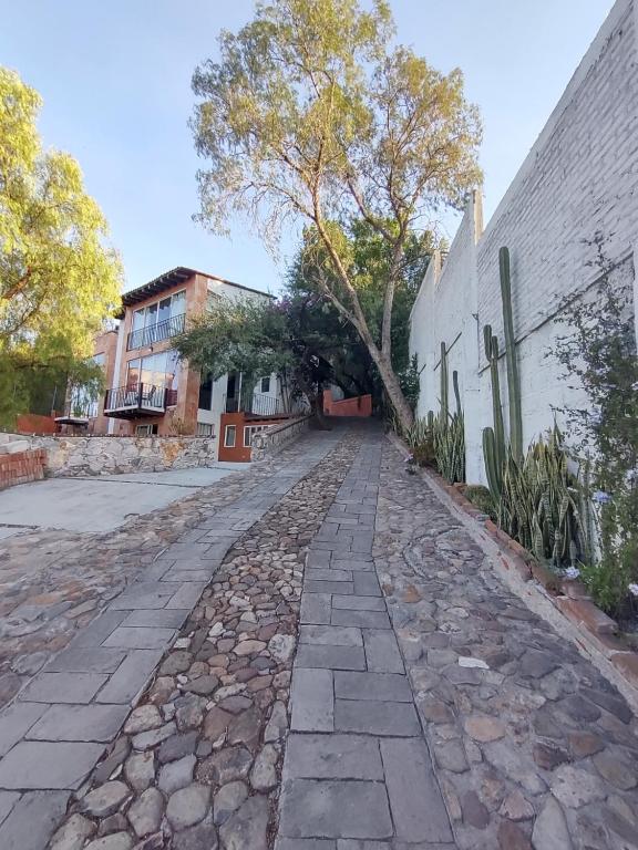 a cobblestone street in front of a building at Laica House in San Miguel de Allende