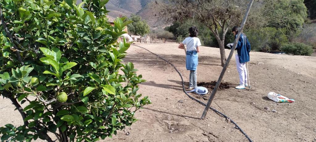 Hosté ubytování Alojamiento Rural Polita, Agroturismo y Patrimonial