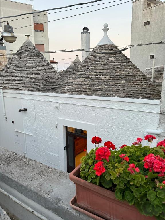 un vaso di fiori con fiori rossi di fronte a un edificio di Trullo Alfieri - Relax e Garden ad Alberobello