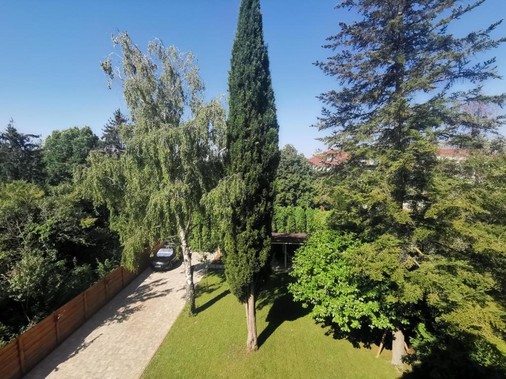 Zahrada ubytování Moon Light - Heviz superior Apartments