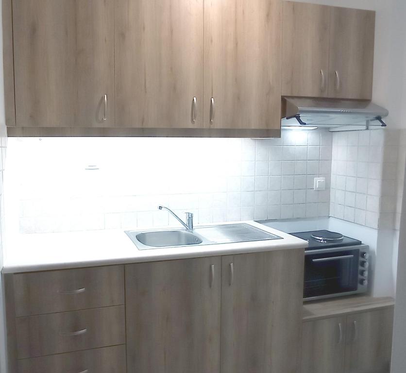 Kuchyň nebo kuchyňský kout v ubytování Flower Apartments