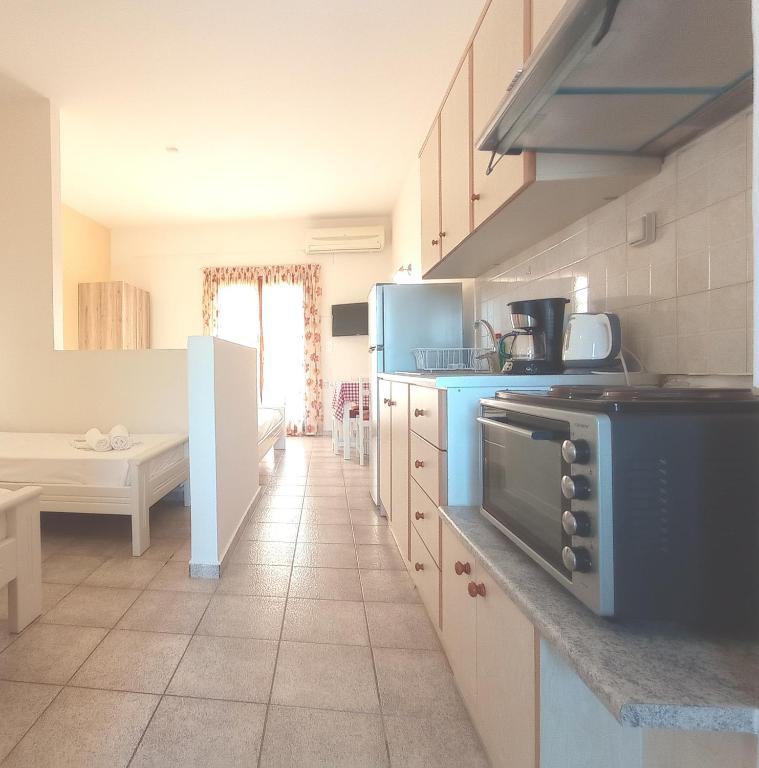 Kuchyň nebo kuchyňský kout v ubytování Flower Apartments