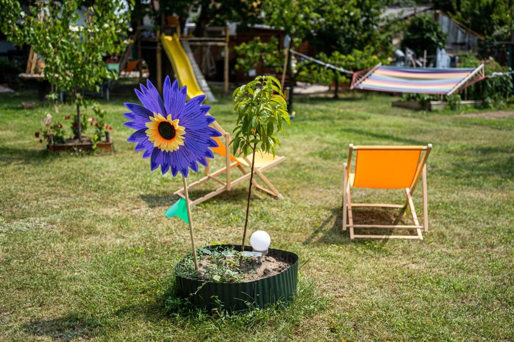 Ogród w obiekcie Szürke Vendégház Balatonkenesén