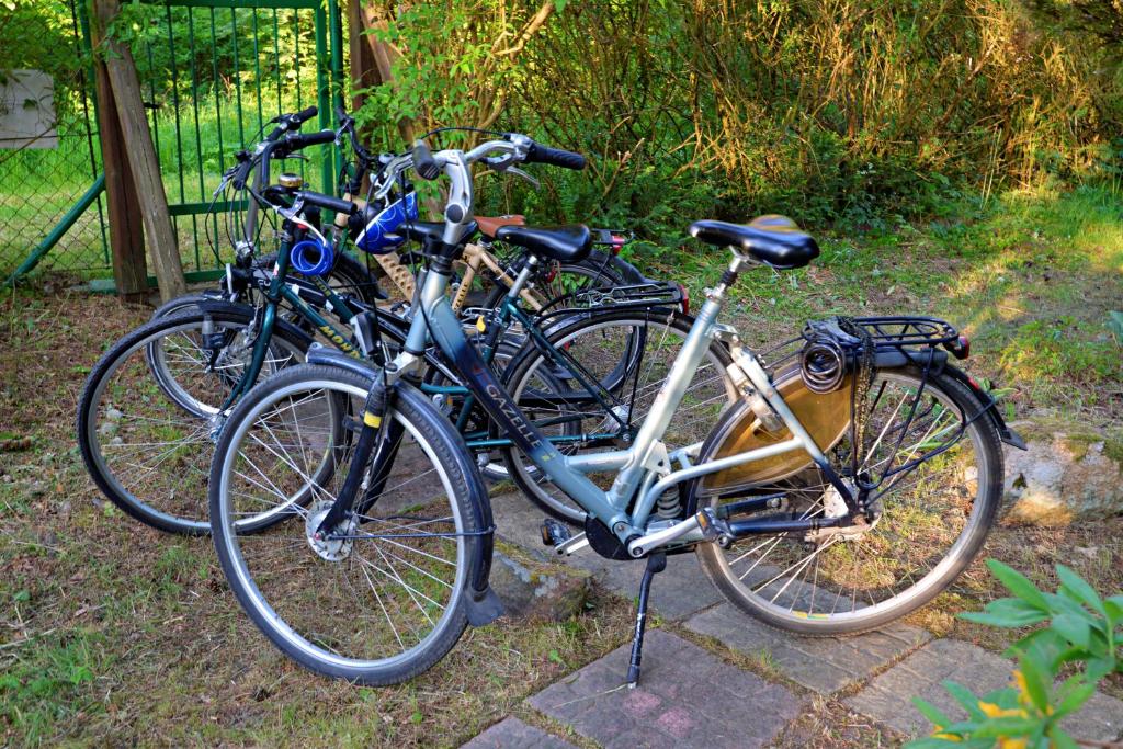 Jazda na bicykli v okolí ubytovania Leśniczówka Białogóra