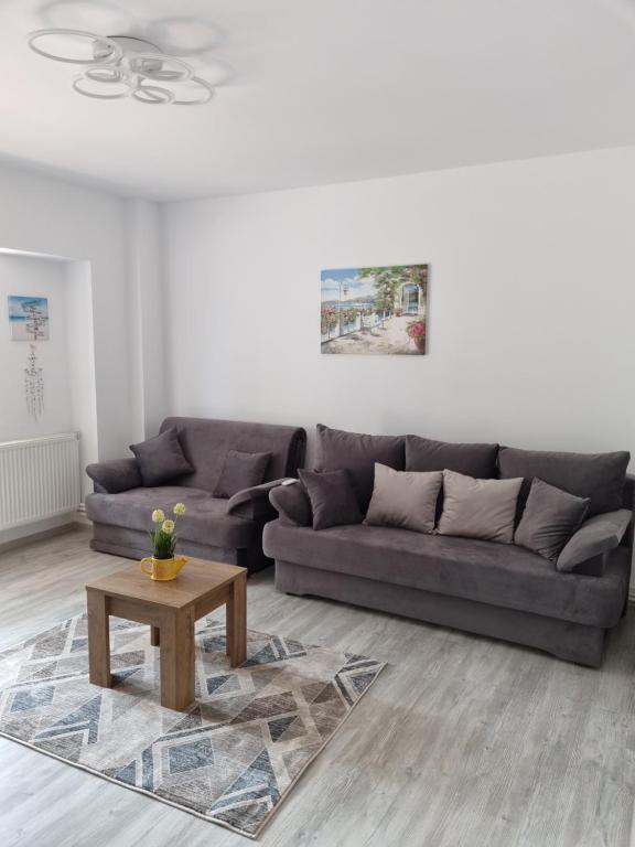 uma sala de estar com um sofá e uma mesa de centro em Constanta Studio 50mp em Constança