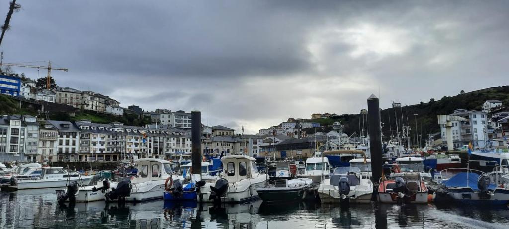 a bunch of boats are docked in a harbor at A Bruxo Fonte.8 pzs,2 bañs .Full in Luarca