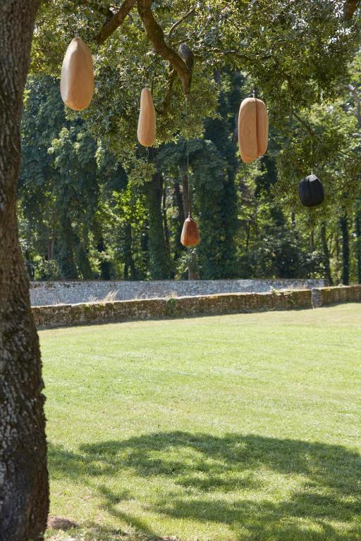 a group of objects hanging from a tree in a field at DOMAINE LE MEZO in Ploeren