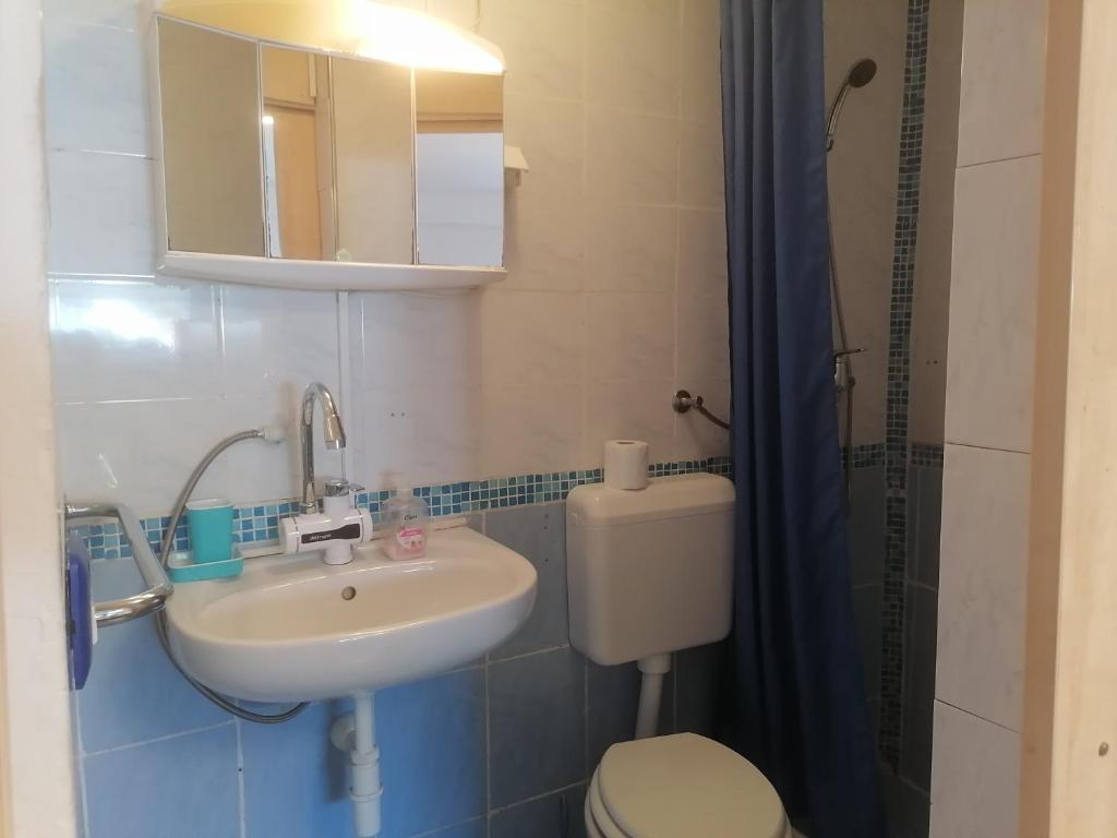 Koupelna v ubytování Zupan apartments