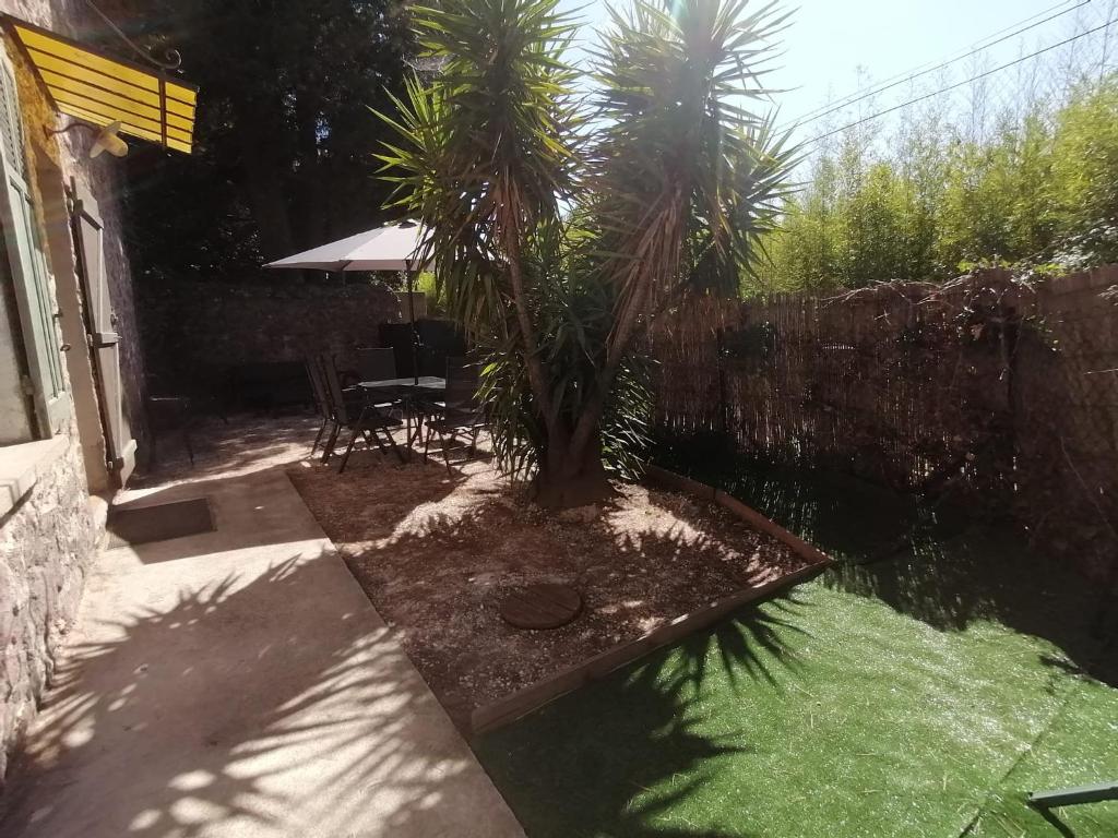 a patio with a palm tree and a table and chairs at Maison T3 avec jardin (8pers) in La Crau
