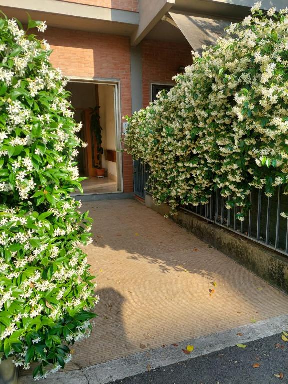 Flowerence