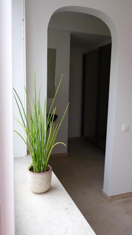 Fotografie z fotogalerie ubytování Villa Le Renard v destinaci Knokke-Heist