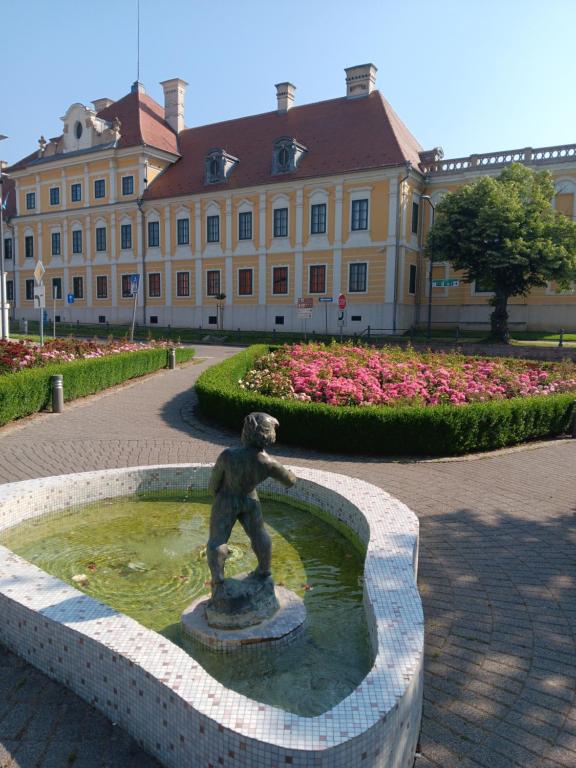 Zahrada ubytování Apartman Dunav