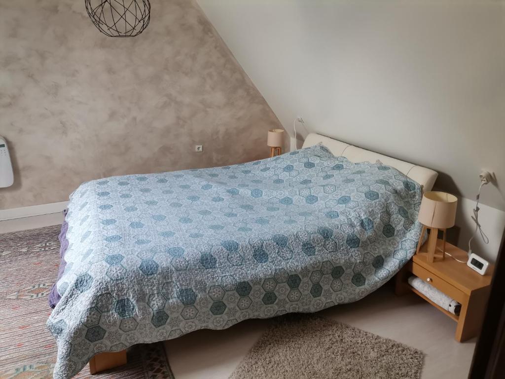 a bedroom with a bed with a blue blanket on it at La dépendance, petite maison au calme in Vallon-sur-Gée