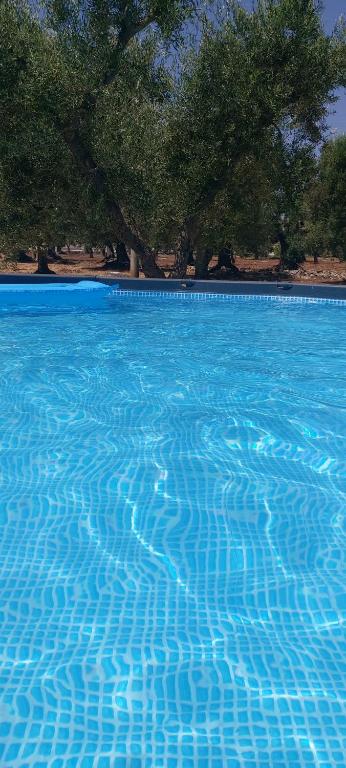 uma grande piscina de água azul com árvores ao fundo em Casale Valle degli Ulivi em Ostuni