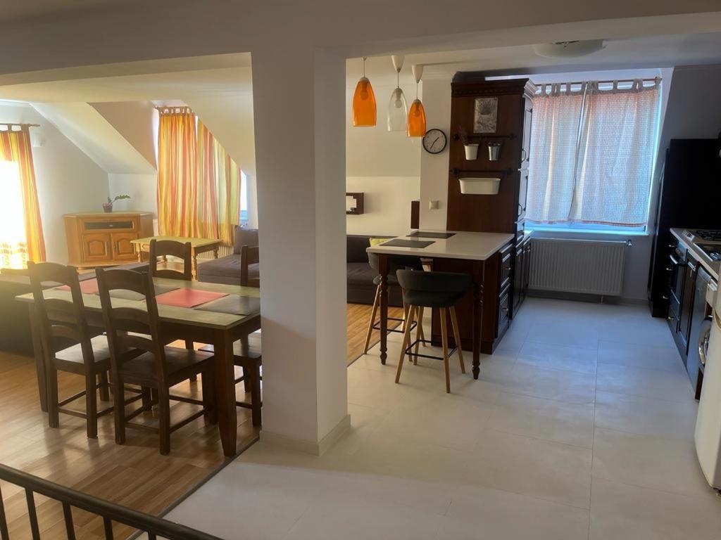 クルジュ・ナポカにあるReb Apartment - Calea Turziiのキッチン、リビングルーム(テーブル、椅子付)