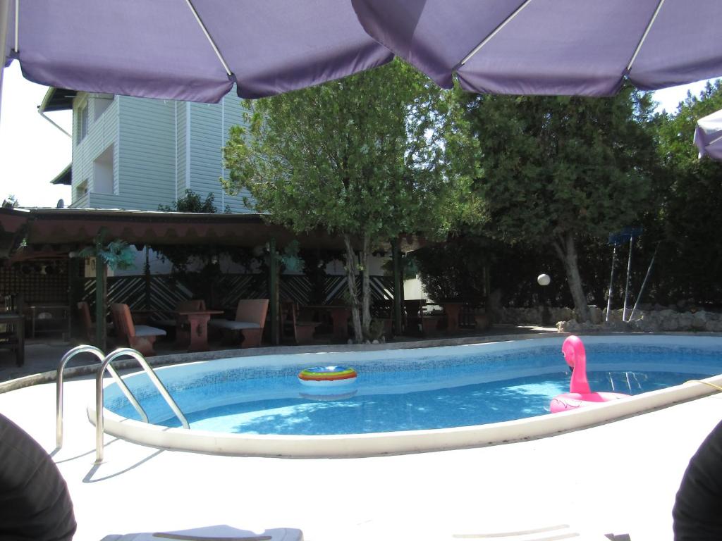 a swimming pool with a pink flamingo and an umbrella at Hostel Papagal in Varna City