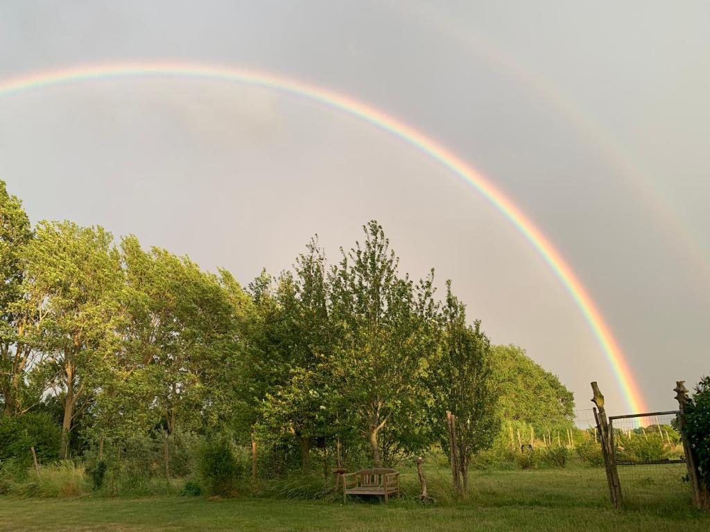 Příroda nedaleko bed and breakfast