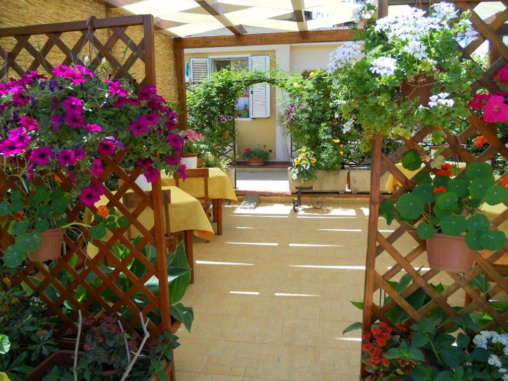 Zahrada ubytování Ansise Guest House