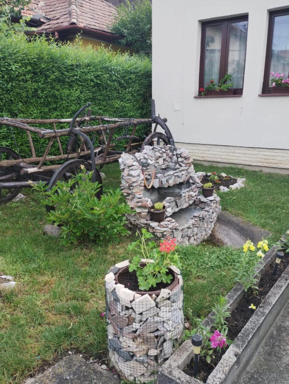 Zahrada ubytování Casa Darius Cluj