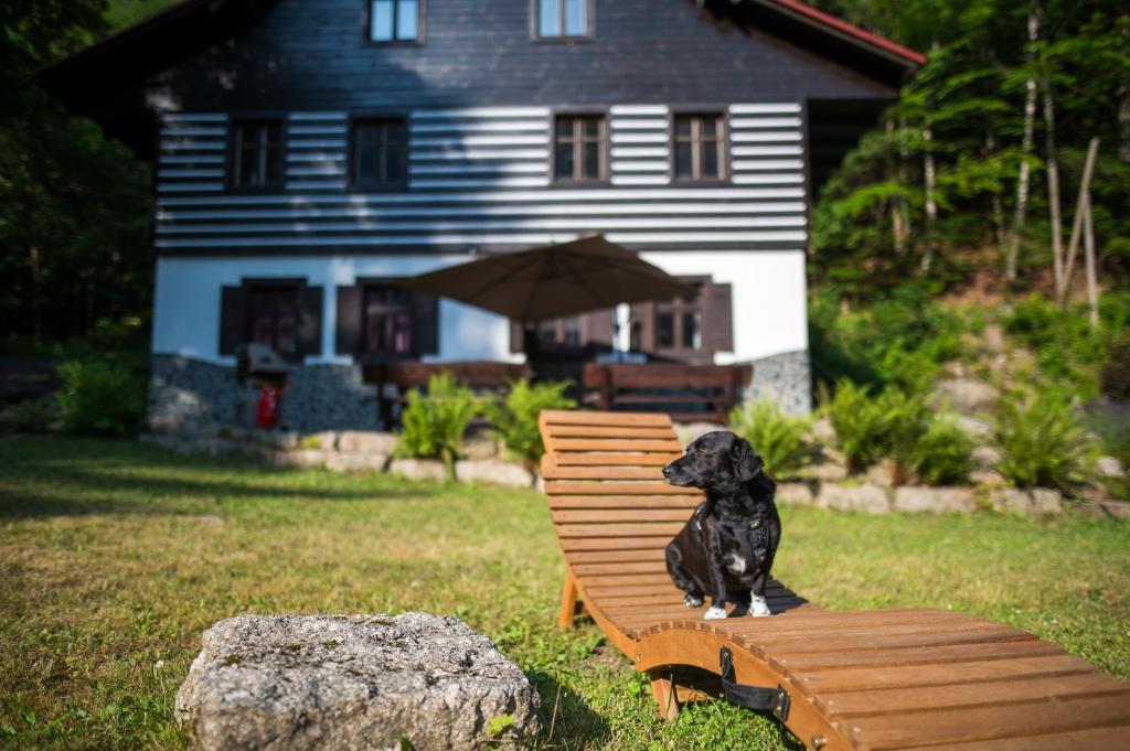 Zahrada ubytování Chata Pod Desenským vrchem