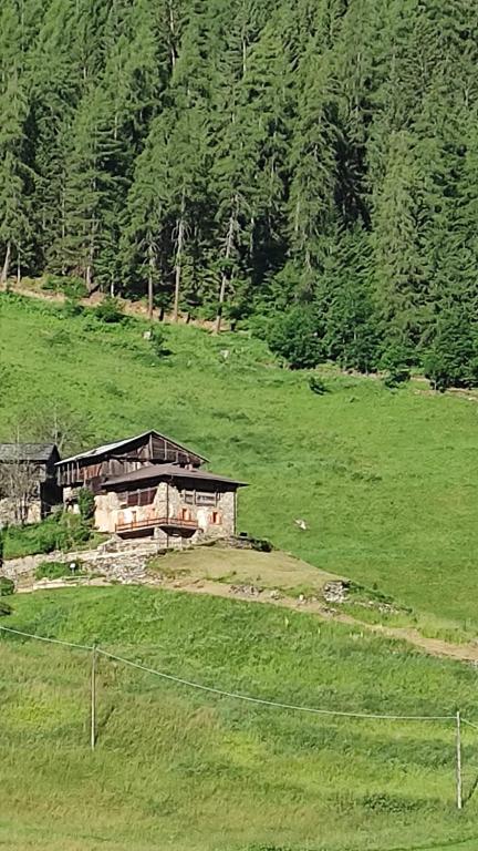 a house in the middle of a green field at Al Doss in Rabbi