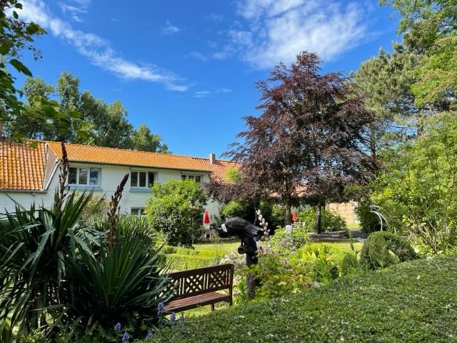 un parc avec un banc au milieu d'un jardin dans l'établissement La Ferme Wessière, à Oye-Plage