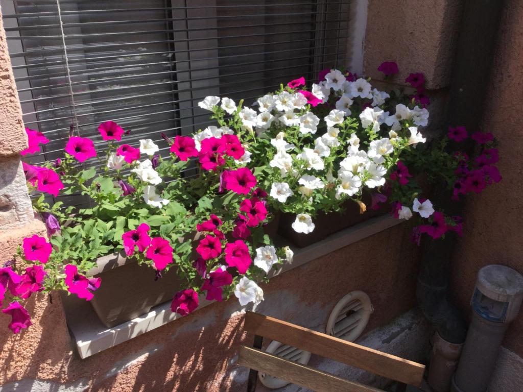 Cannaregio II Apartments - 