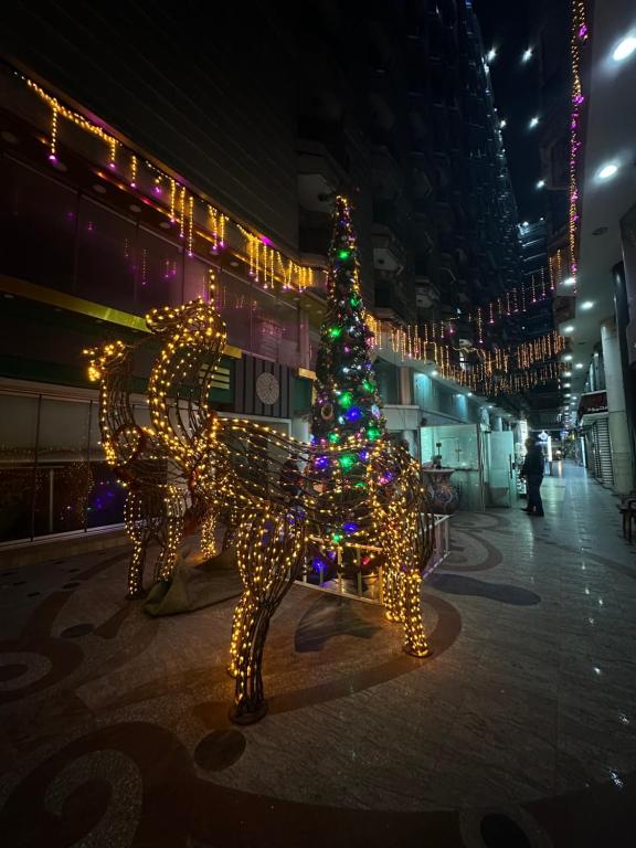 Imagine din galeria proprietății Hyat Cleopatra Suites în Alexandria