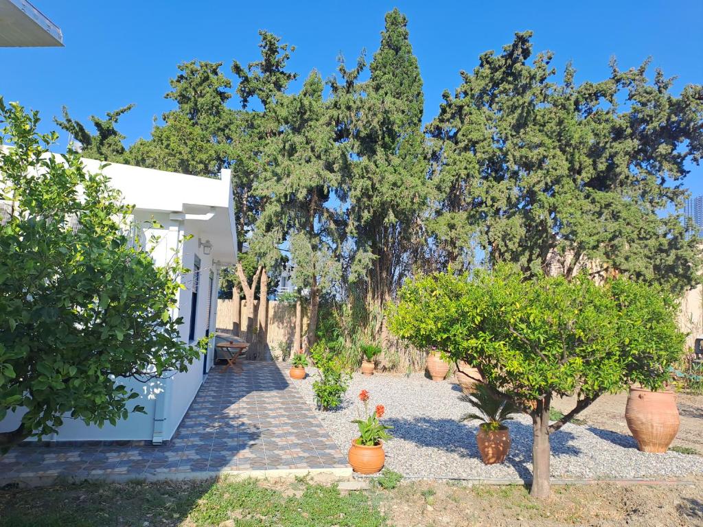 einen Garten mit Bäumen und ein weißes Haus in der Unterkunft Déjà Blue in Archangelos