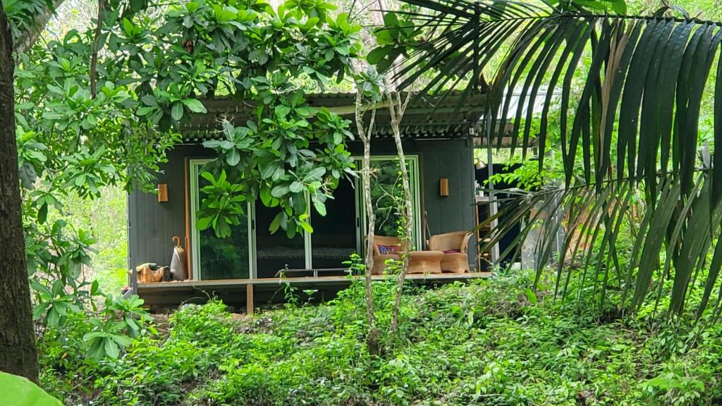 a small green house with a person sitting in the window at Alegria River Hideaway and Retreats in Cuajiniquil