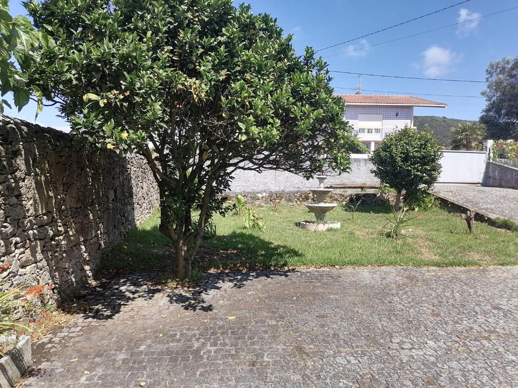 a tree in a yard next to a stone wall at Propriedade dos Seixos in Moledo
