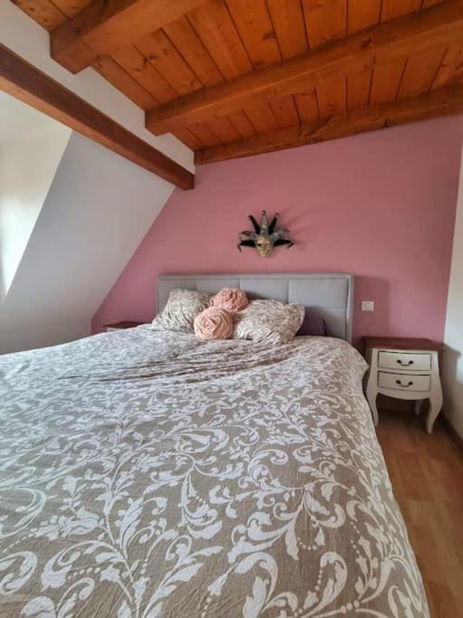 LE SCHMOUTZ: Charmant duplex entre Colmar et Mulhouse (1-4 pers) – photo 10
