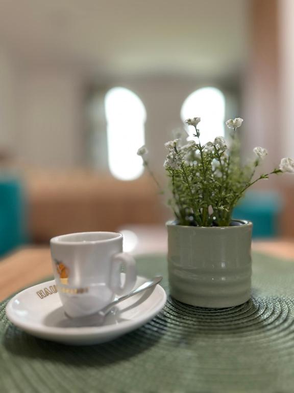 Fotografie z fotogalerie ubytování Apartmani BMD v destinaci Arilje