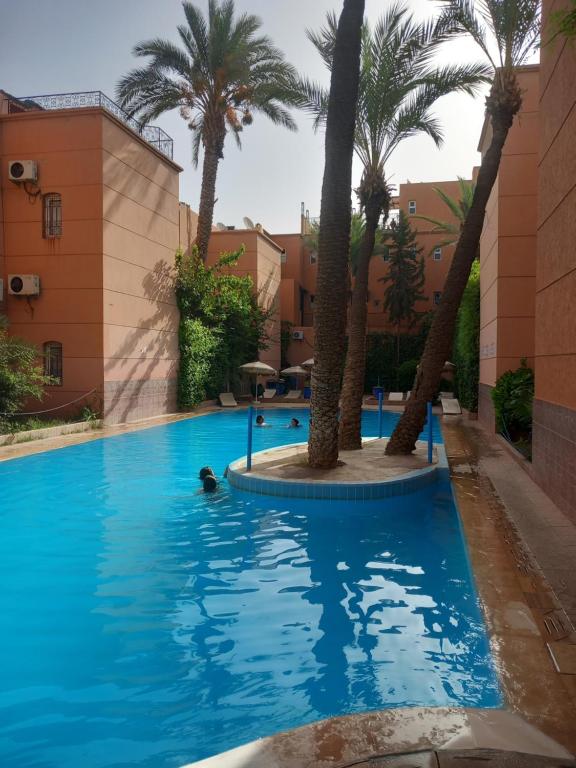 una piscina con palmeras y edificios en Riad NEJJARINE, en Marrakech