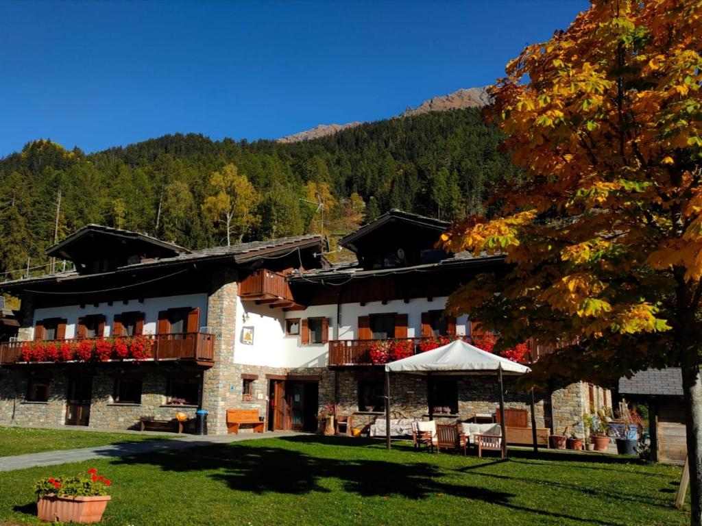 a large building with a tree in front of it at Le Rêve in Courmayeur