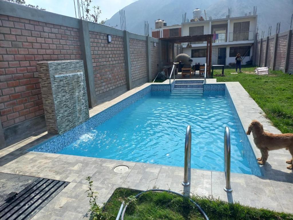 Casa de Campo Las Tujas tesisinde veya buraya yakın yüzme havuzu