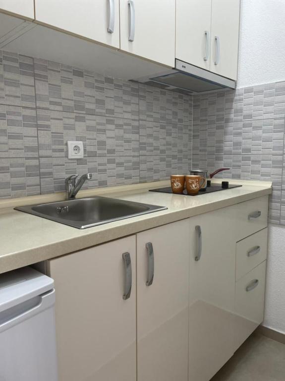 Kuchyň nebo kuchyňský kout v ubytování Jelić apartmani