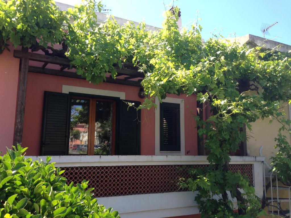 ein Haus mit einem Fenster und einem Baum in der Unterkunft Casa Vacanze La Vite in Stintino