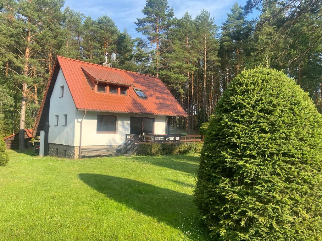 una casa con techo naranja y patio verde en Domek Leśny Reset, en Studzienice