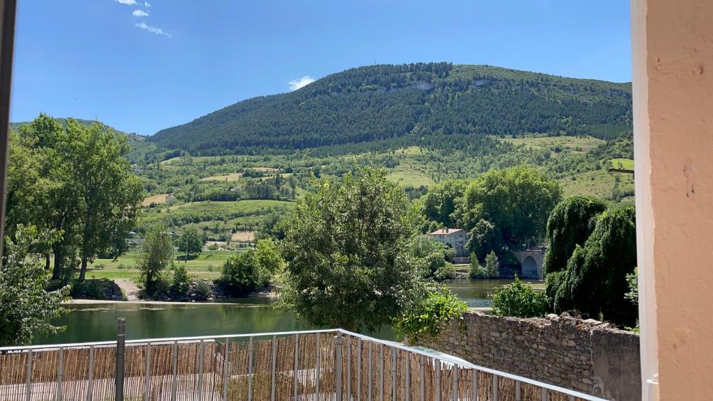 a view of a river with a mountain in the background at Résidence du bord du Tarn in Millau
